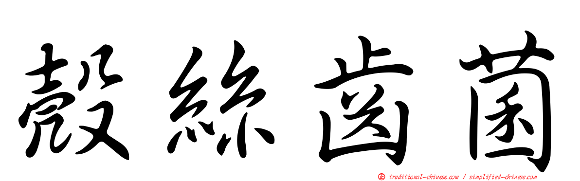 殼絲齒菌