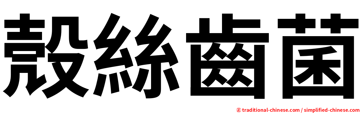 殼絲齒菌