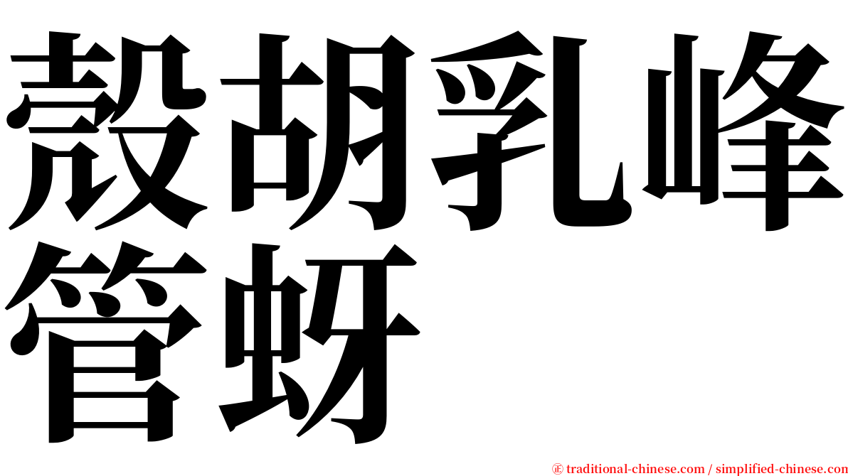 殼胡乳峰管蚜 serif font