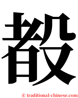 殾 serif font