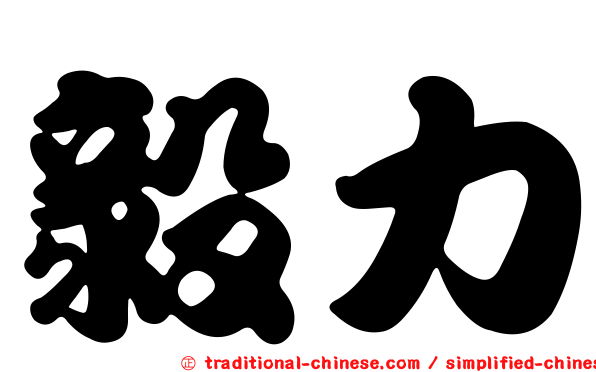 毅力