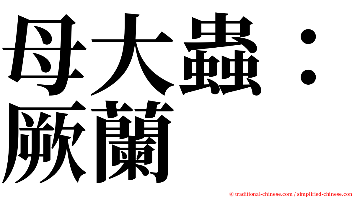 母大蟲：厥蘭 serif font