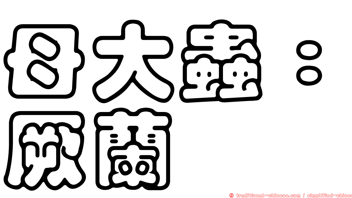 母大蟲：厥蘭