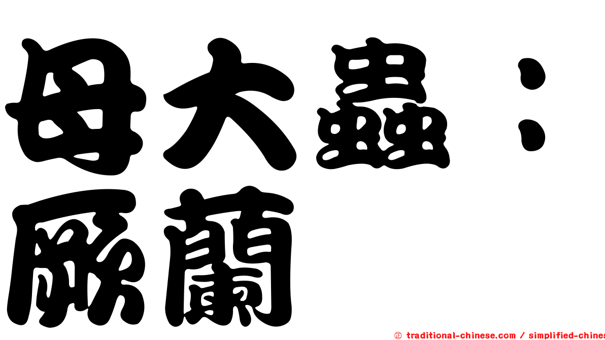 母大蟲：厥蘭