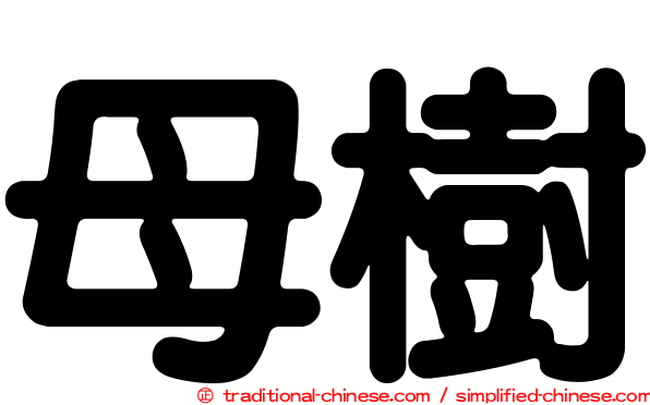 母樹