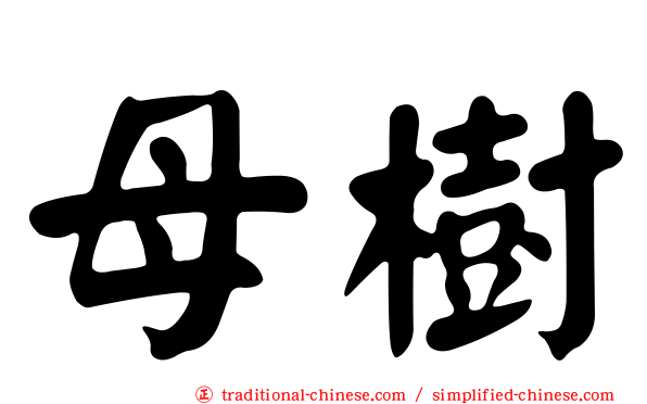 母樹
