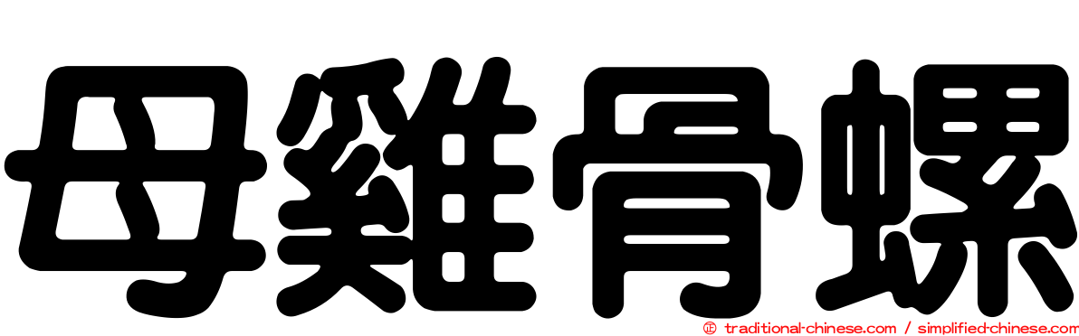 母雞骨螺