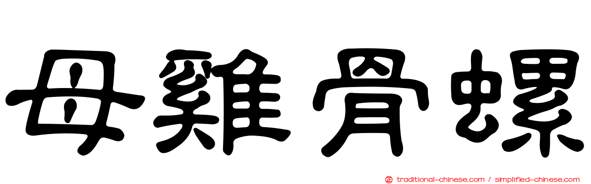 母雞骨螺