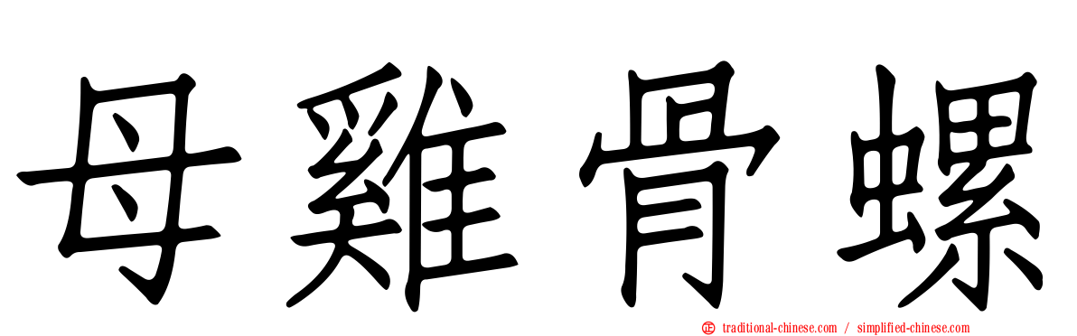 母雞骨螺