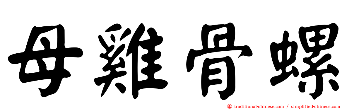 母雞骨螺