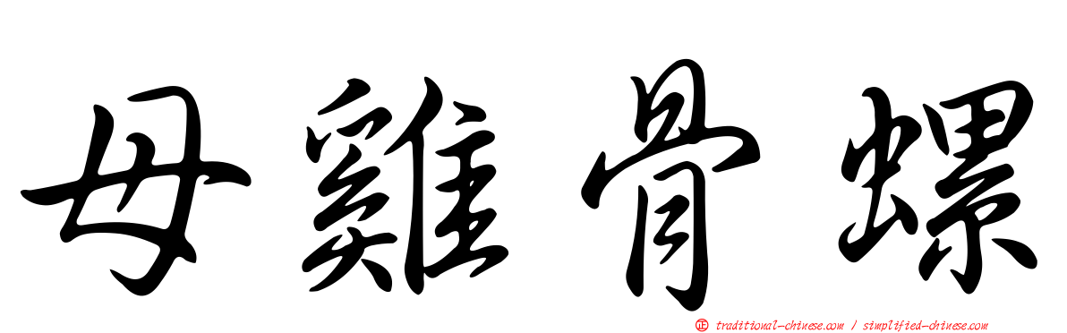 母雞骨螺