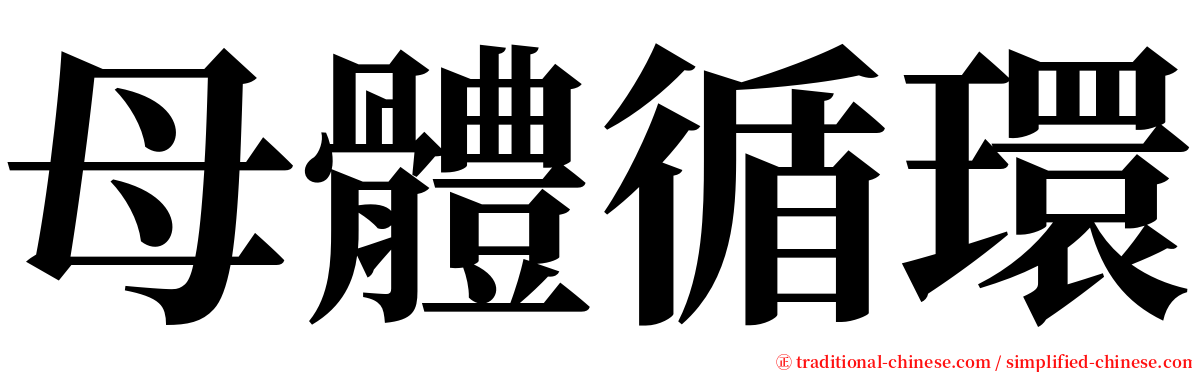 母體循環 serif font