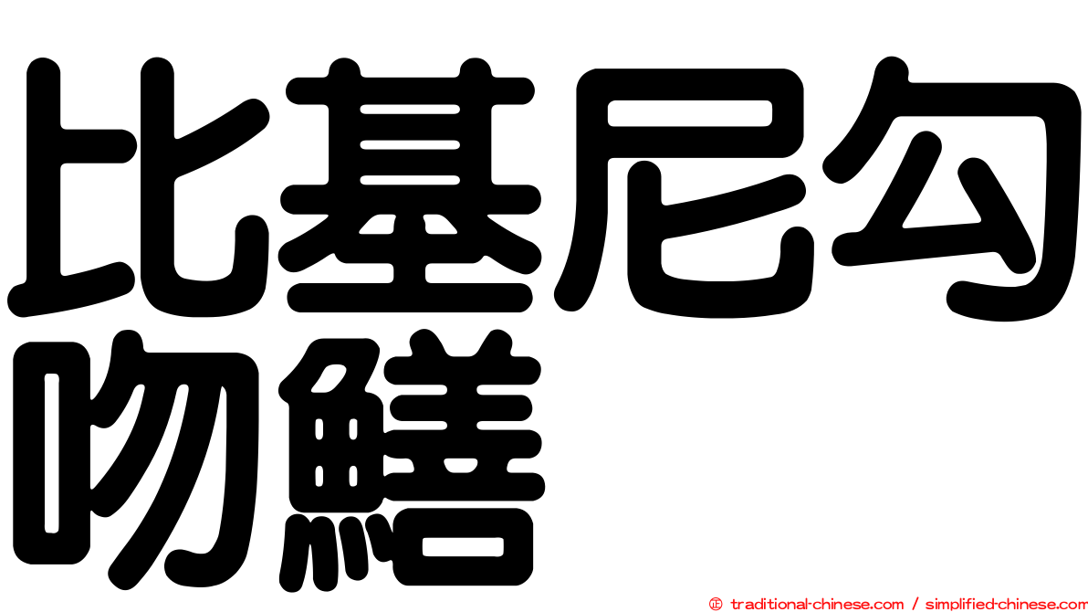 比基尼勾吻鱔