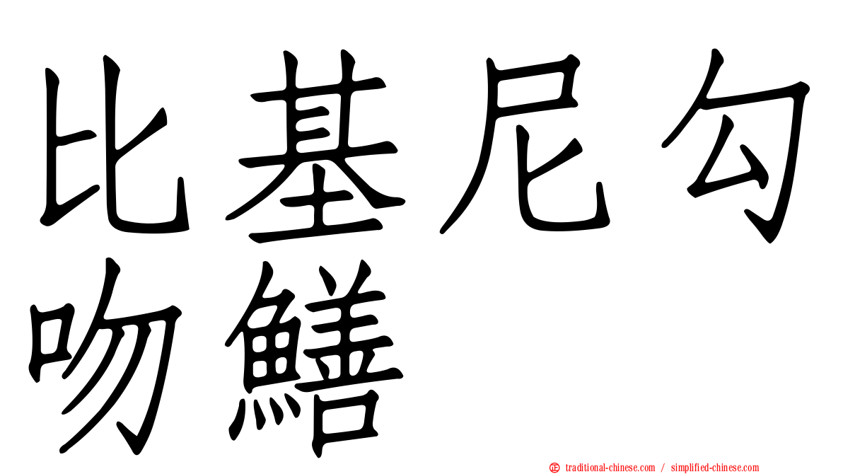 比基尼勾吻鱔
