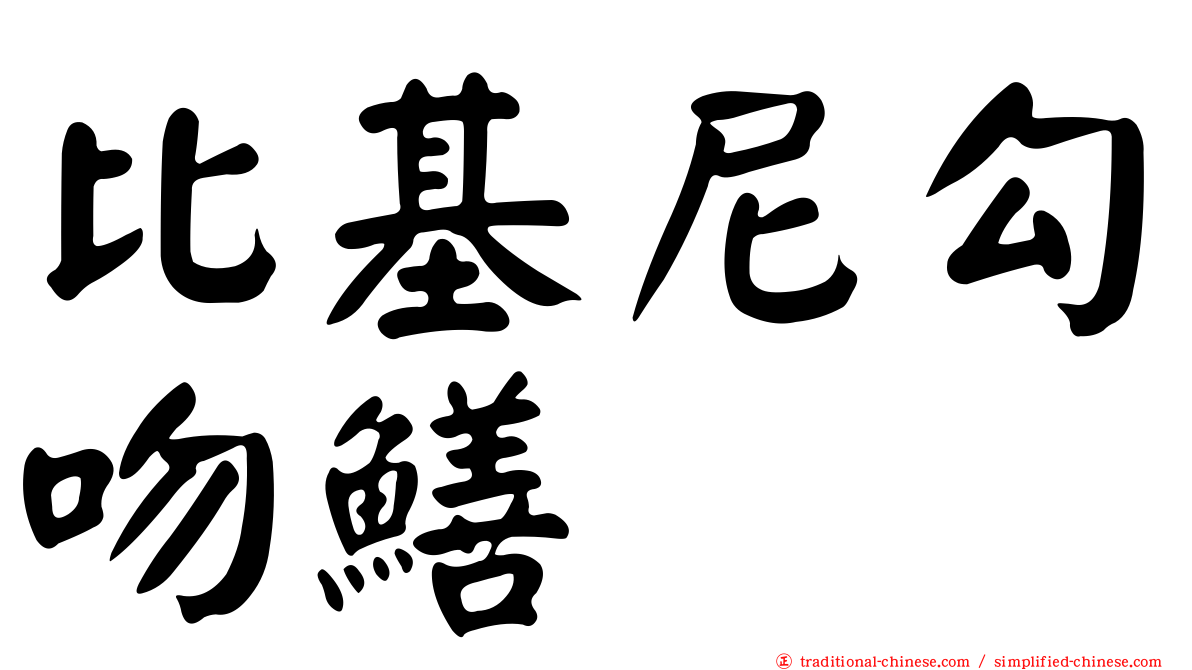 比基尼勾吻鱔