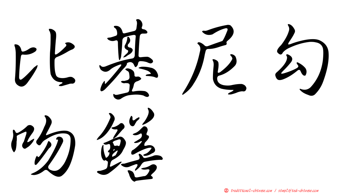 比基尼勾吻鱔