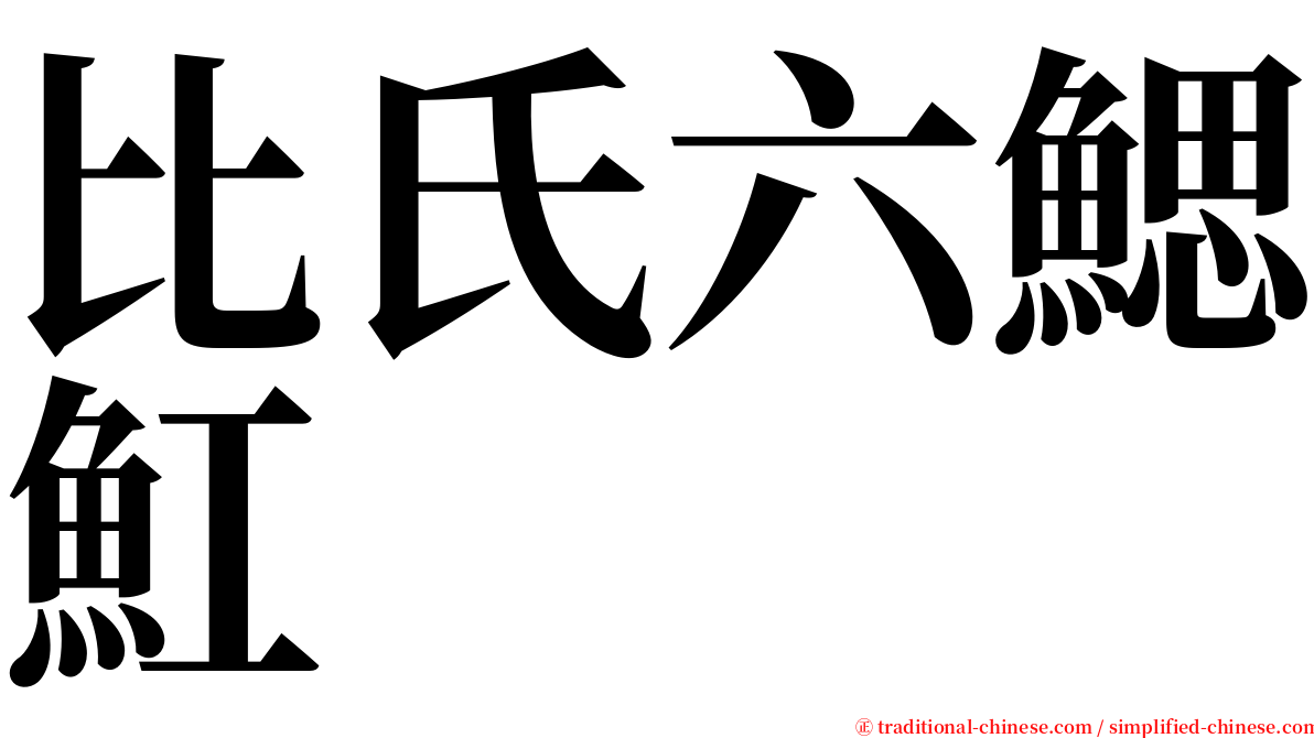比氏六鰓魟 serif font