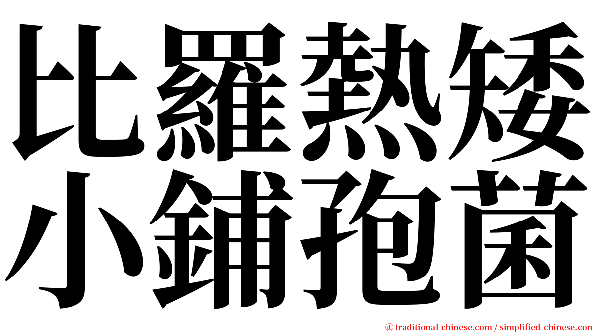 比羅熱矮小鋪孢菌 serif font