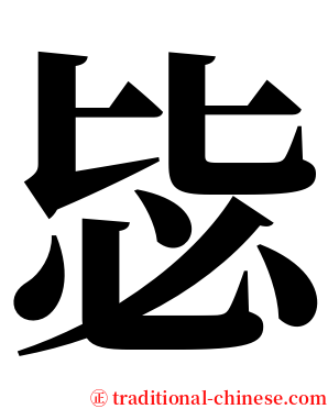 毖 serif font