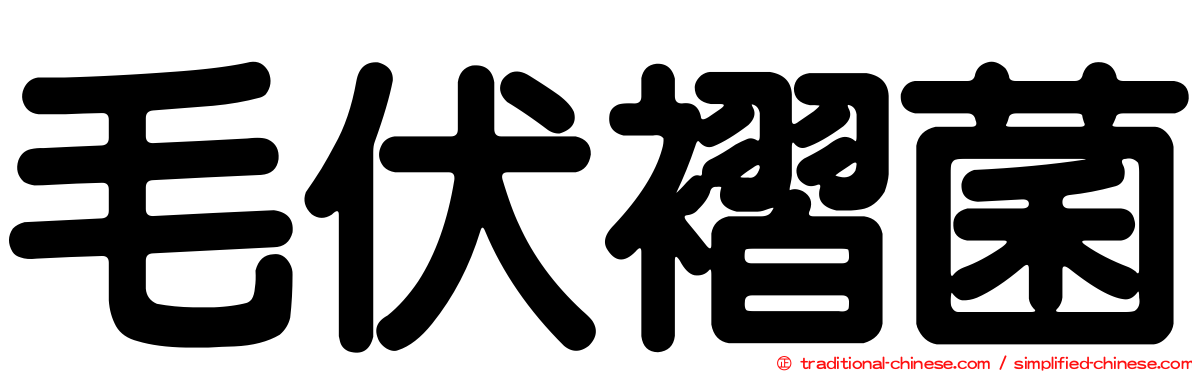 毛伏褶菌