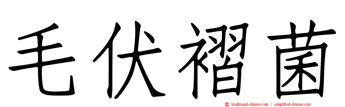 毛伏褶菌