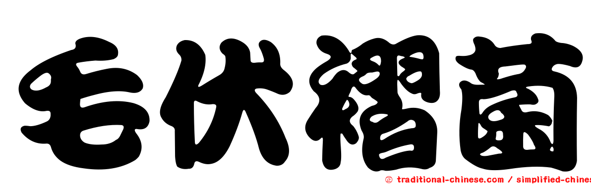 毛伏褶菌