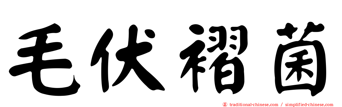 毛伏褶菌