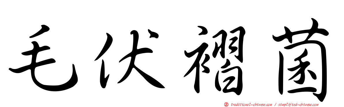 毛伏褶菌