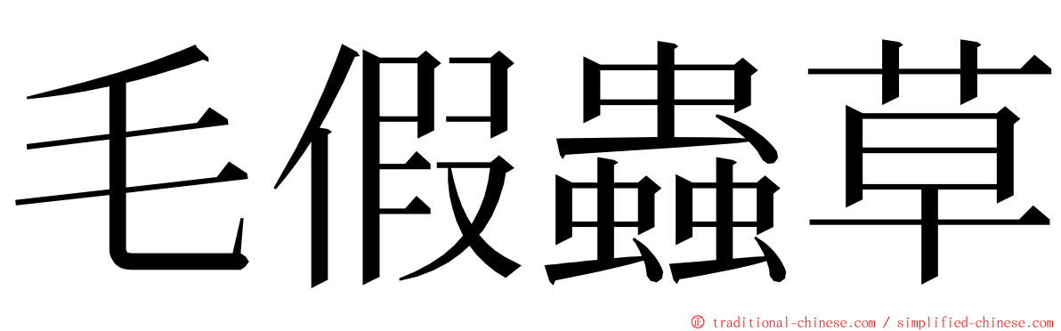 毛假蟲草 ming font