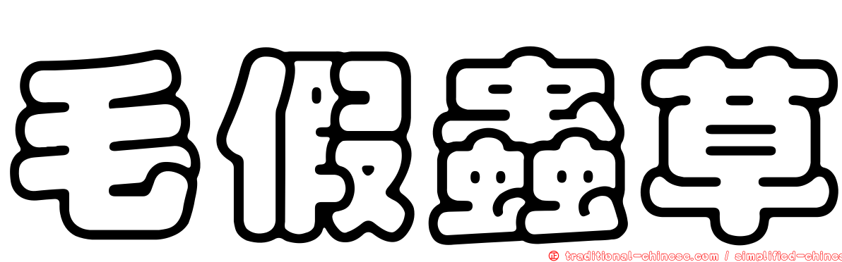 毛假蟲草