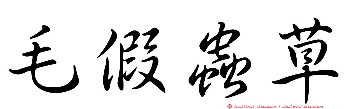 毛假蟲草
