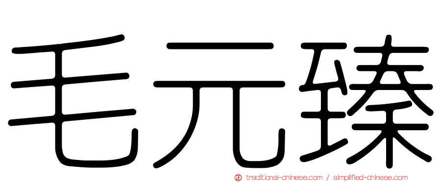 毛元臻