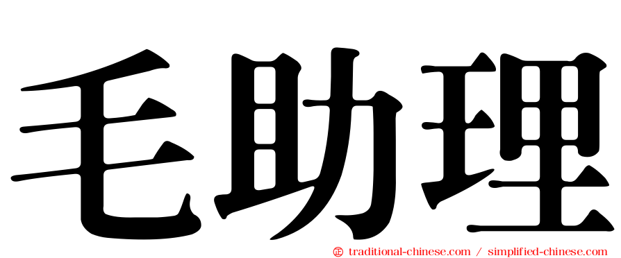 毛助理