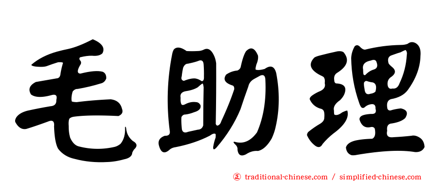 毛助理