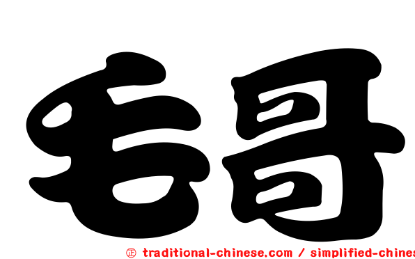 毛哥