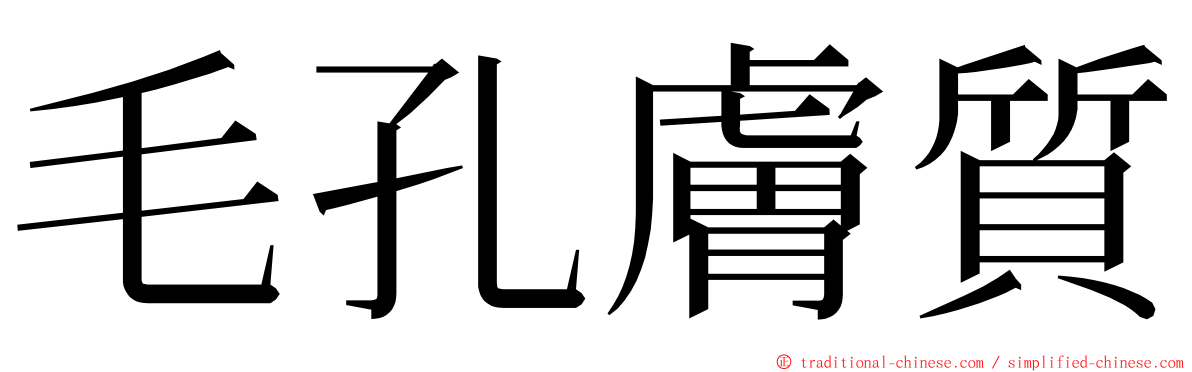 毛孔膚質 ming font