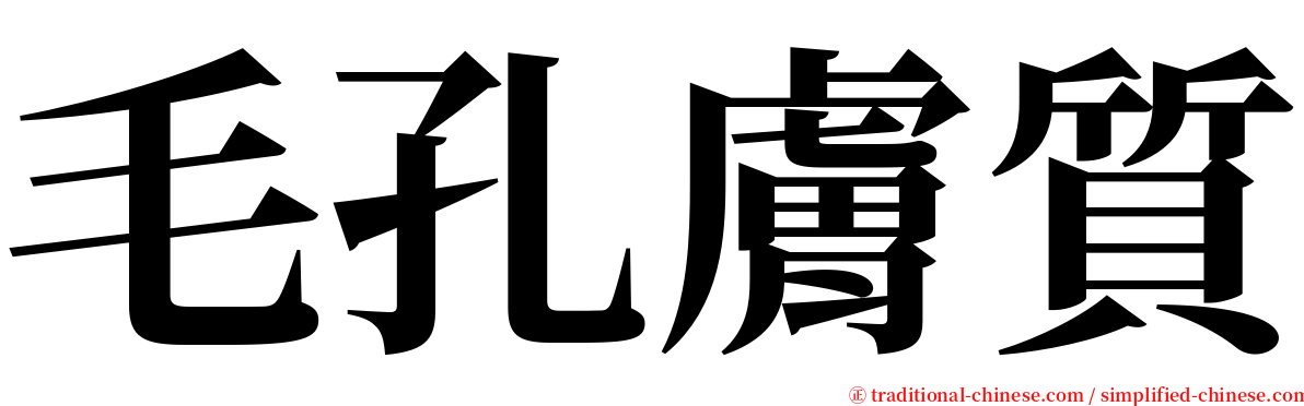 毛孔膚質 serif font