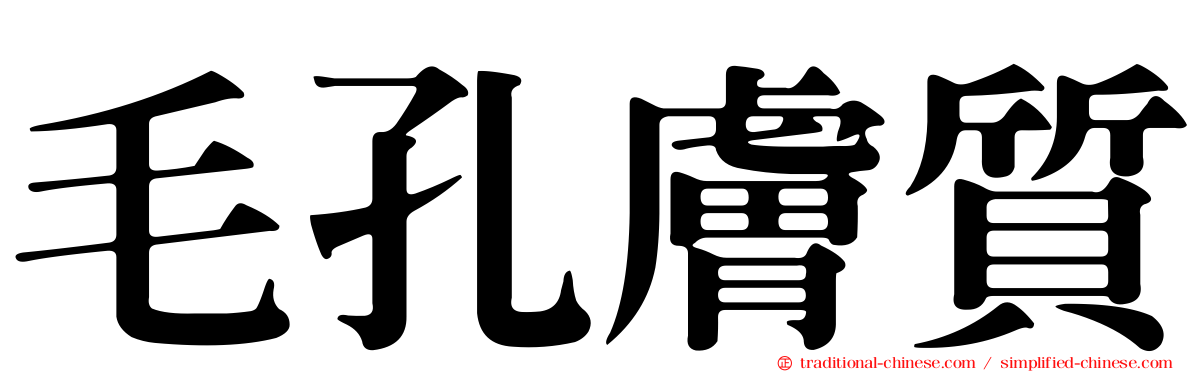 毛孔膚質