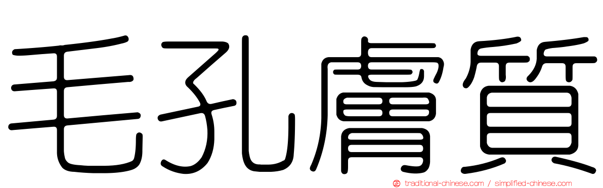 毛孔膚質