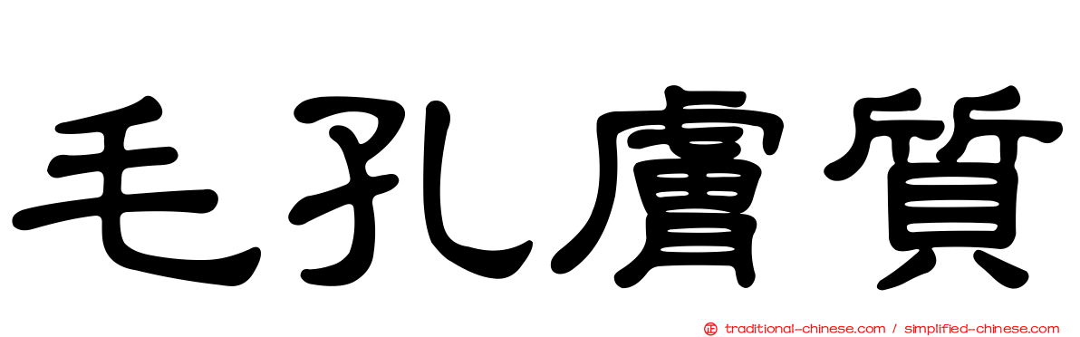 毛孔膚質