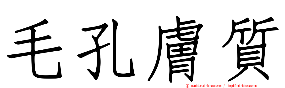 毛孔膚質
