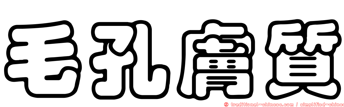 毛孔膚質
