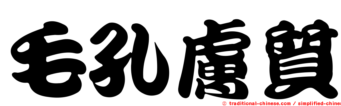 毛孔膚質