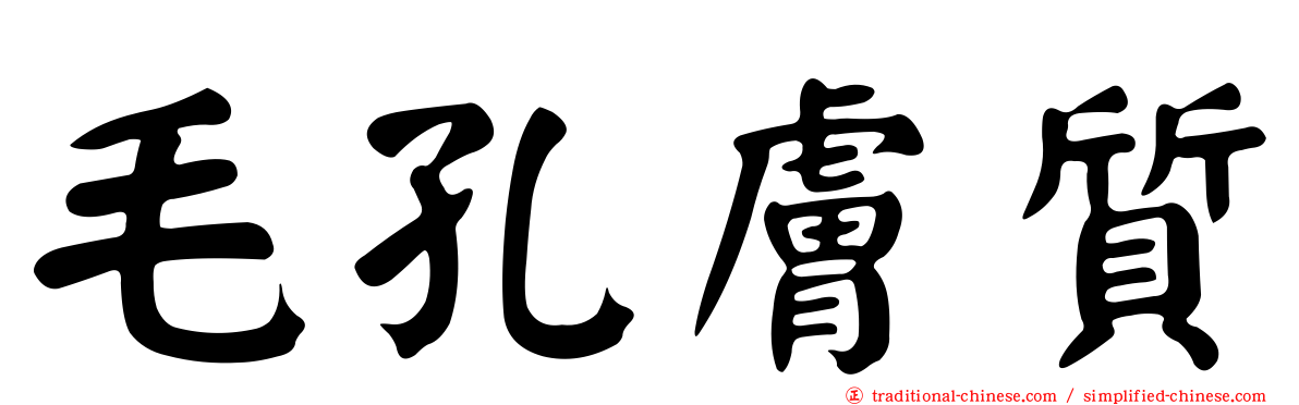毛孔膚質