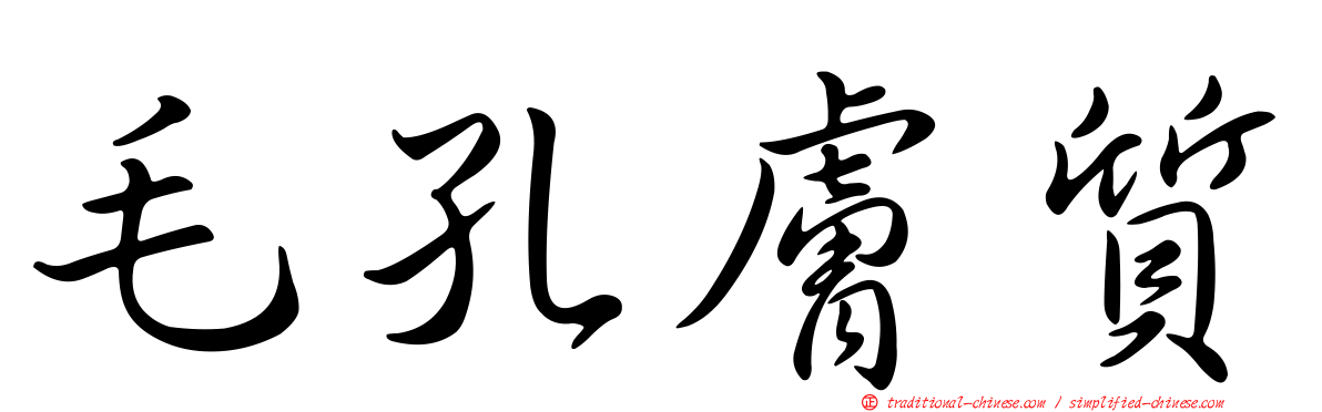 毛孔膚質