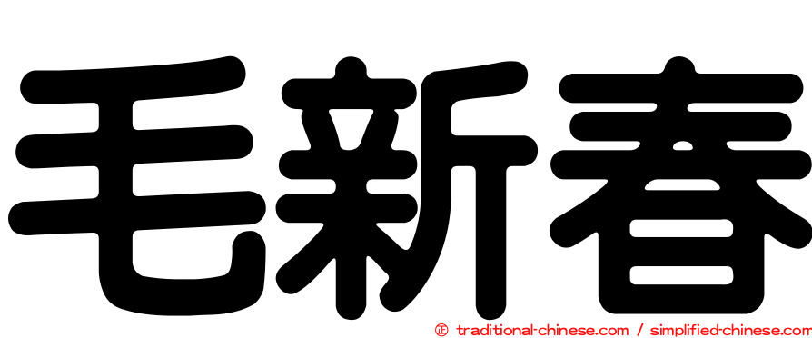 毛新春