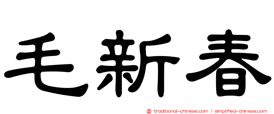 毛新春