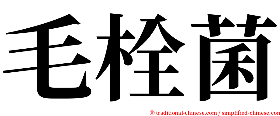 毛栓菌 serif font