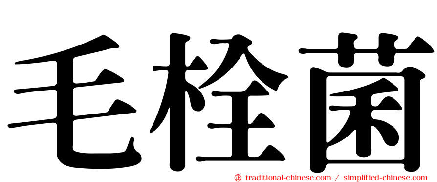 毛栓菌