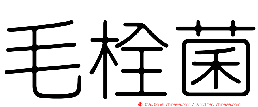 毛栓菌